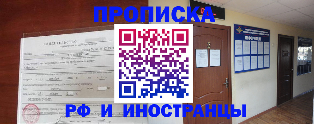где прописаться в Звенигово